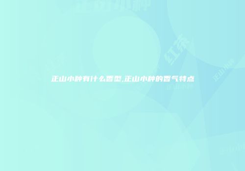 正山小种有什么香型,正山小种的香气特点