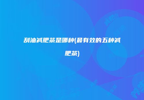 刮油减肥茶是哪种(最有效的五种减肥茶)