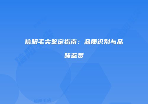 信阳毛尖鉴定指南：品质识别与品味鉴赏