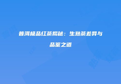 普洱极品红茶揭秘：生熟茶差异与品鉴之道