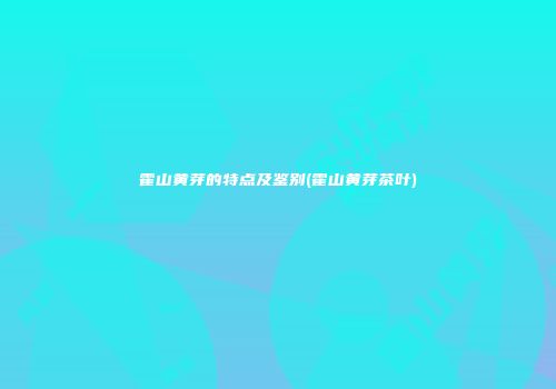 霍山黄芽的特点及鉴别(霍山黄芽茶叶)