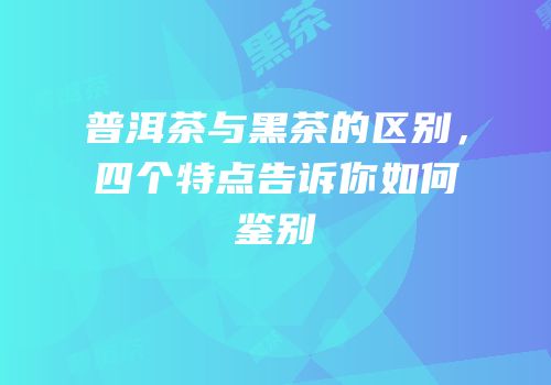 普洱茶与黑茶的区别，四个特点告诉你如何鉴别