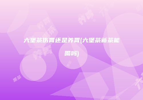 六堡茶伤胃还是养胃(六堡茶新茶能喝吗)