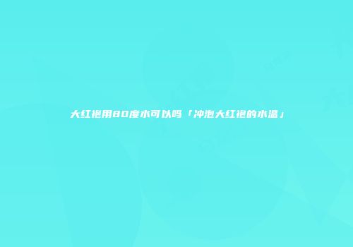 大红袍用80度水可以吗「冲泡大红袍的水温」