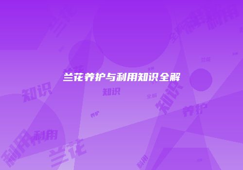 兰花养护与利用知识全解