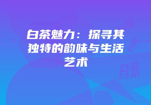 白茶魅力：探寻其独特的韵味与生活艺术