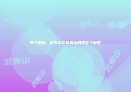 深入解析：武夷山老枞水仙的传奇与品鉴