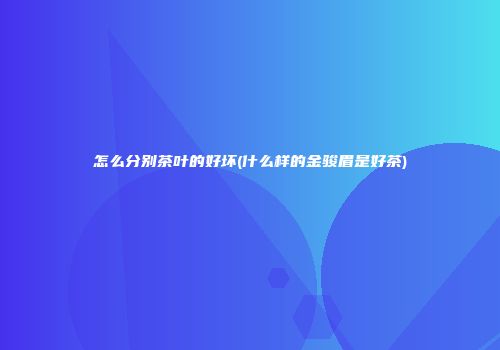 怎么分别茶叶的好坏(什么样的金骏眉是好茶)