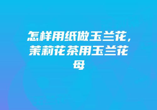 怎样用纸做玉兰花,茉莉花茶用玉兰花母