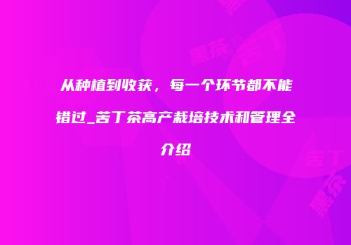 从种植到收获，每一个环节都不能错过_苦丁茶高产栽培技术和管理全介绍