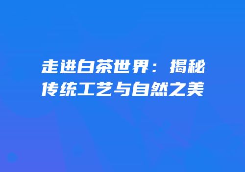 走进白茶世界：揭秘传统工艺与自然之美