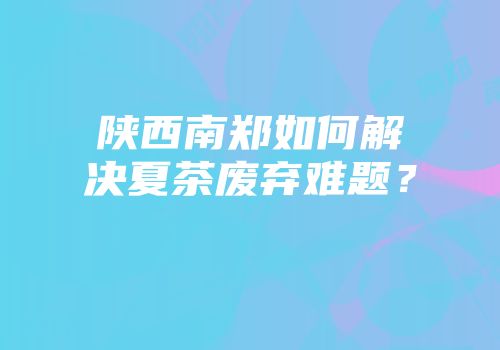 陕西南郑如何解决夏茶废弃难题？