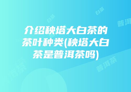 介绍秧塔大白茶的茶叶种类(秧塔大白茶是普洱茶吗)