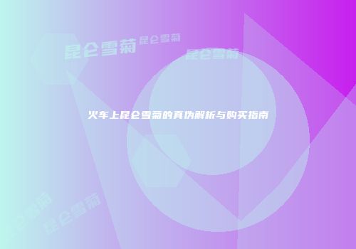 火车上昆仑雪菊的真伪解析与购买指南