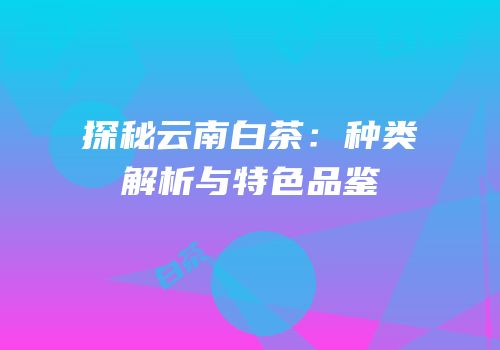 探秘云南白茶：种类解析与特色品鉴