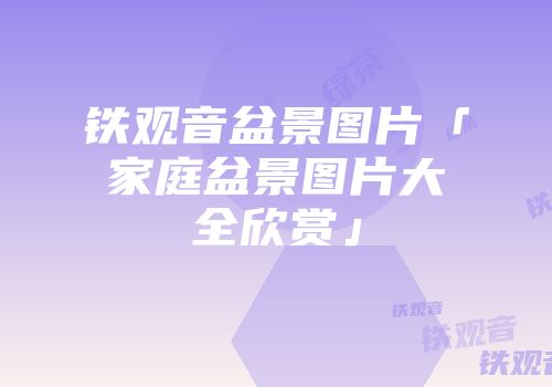 铁观音盆景图片「家庭盆景图片大全欣赏」