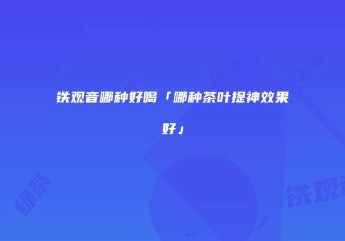 铁观音哪种好喝「哪种茶叶提神效果好」