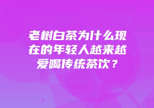 老树白茶为什么现在的年轻人越来越爱喝传统茶饮？