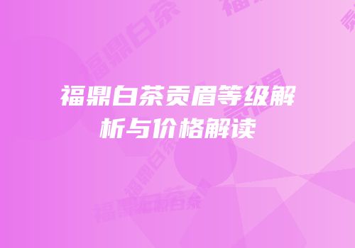 福鼎白茶贡眉等级解析与价格解读