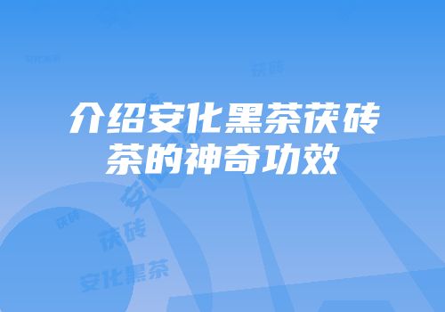 介绍安化黑茶茯砖茶的神奇功效