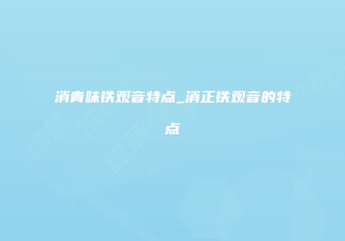 消青味铁观音特点_消正铁观音的特点