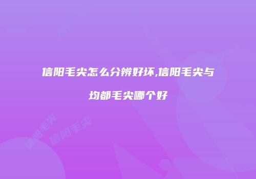 信阳毛尖怎么分辨好坏,信阳毛尖与均都毛尖哪个好