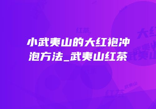小武夷山的大红袍冲泡方法_武夷山红茶