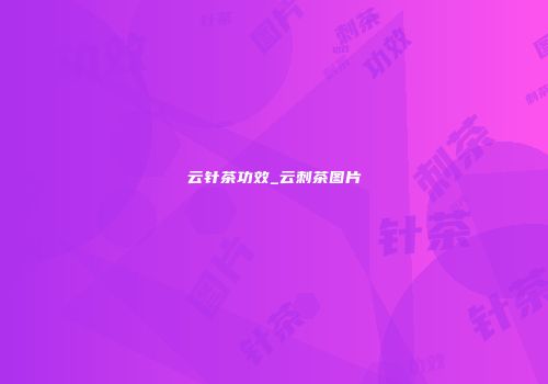 云针茶功效_云刺茶图片
