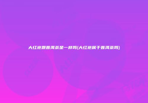 大红袍跟普洱茶是一样吗(大红袍属于普洱茶吗)