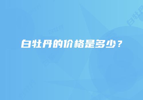 白牡丹的价格是多少？