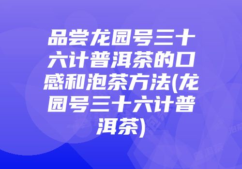 品尝龙园号三十六计普洱茶的口感和泡茶方法(龙园号三十六计普洱茶)