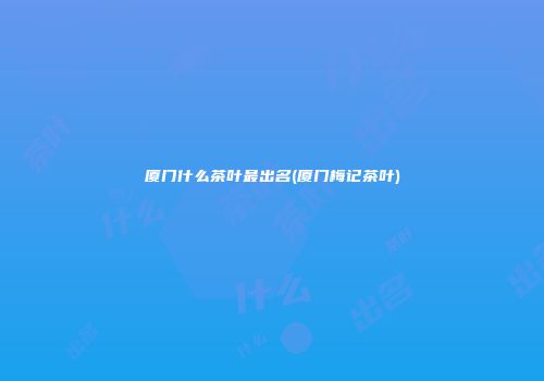厦门什么茶叶最出名(厦门梅记茶叶)