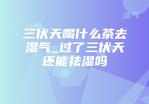 三伏天喝什么茶去湿气_过了三伏天还能祛湿吗