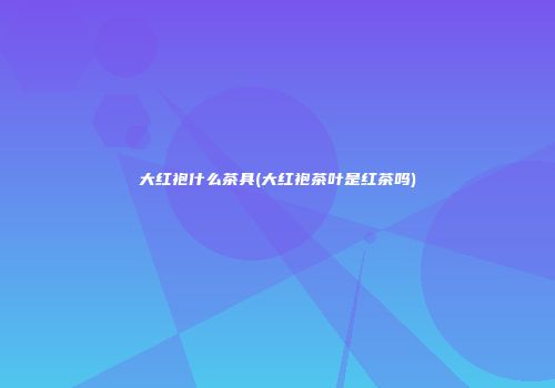 大红袍什么茶具(大红袍茶叶是红茶吗)