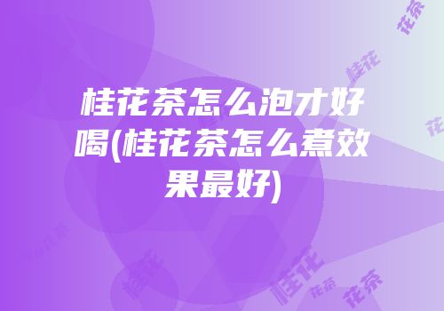 桂花茶怎么泡才好喝(桂花茶怎么煮效果最好)