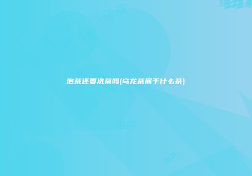 泡茶还要洗茶吗(乌龙茶属于什么茶)