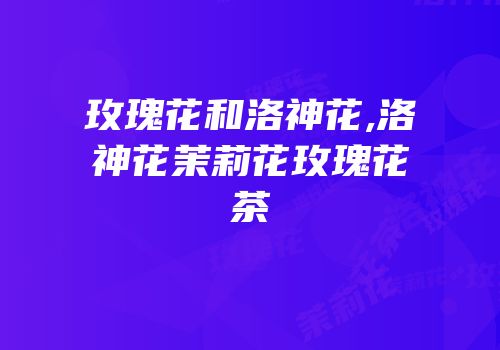 玫瑰花和洛神花,洛神花茉莉花玫瑰花茶