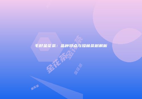 毛籽金花茶：品种特点与珍稀茶树解析