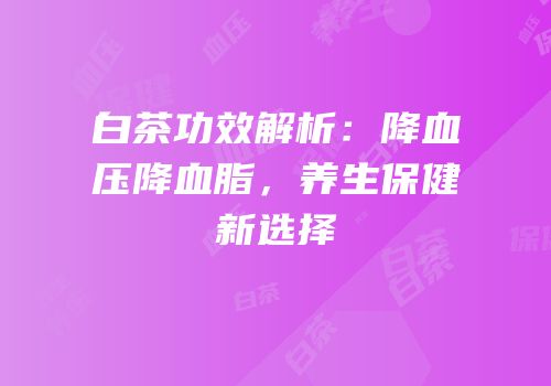 白茶功效解析：降血压降血脂，养生保健新选择