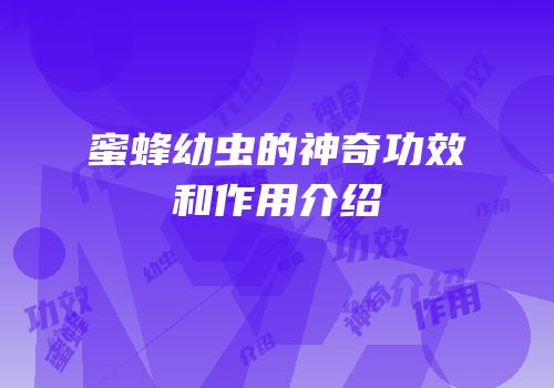 蜜蜂幼虫的神奇功效和作用介绍