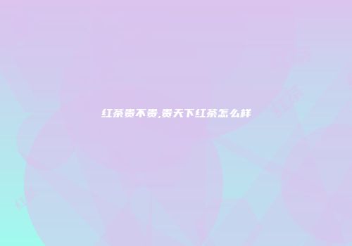 红茶贵不贵,贵天下红茶怎么样