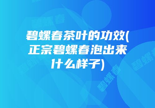碧螺春茶叶的功效(正宗碧螺春泡出来什么样子)
