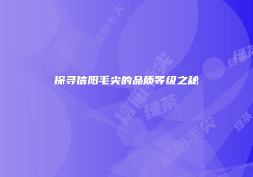 探寻信阳毛尖的品质等级之秘