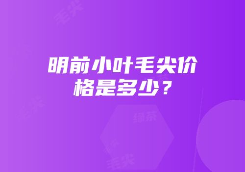 明前小叶毛尖价格是多少？