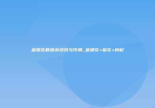 金银花的泡水功效与作用_金银花+菊花+枸杞