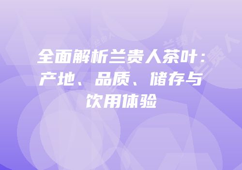 全面解析兰贵人茶叶：产地、品质、储存与饮用体验
