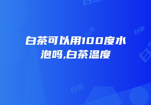 白茶可以用100度水泡吗,白茶温度