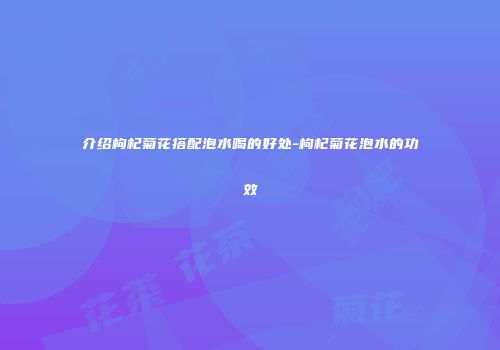 介绍枸杞菊花搭配泡水喝的好处-枸杞菊花泡水的功效