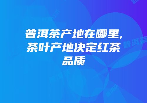 普洱茶产地在哪里,茶叶产地决定红茶品质