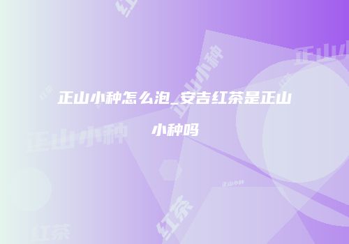 正山小种怎么泡_安吉红茶是正山小种吗